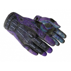 Sport Gloves | Pandora's Box