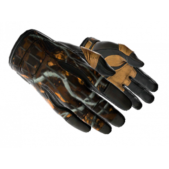 Sport Gloves | Big Game