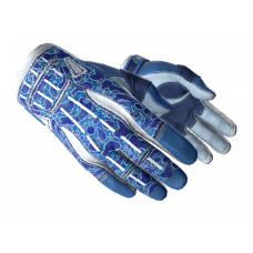 Sport Gloves | Amphibious