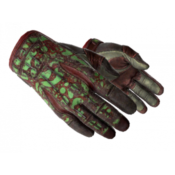 Sport Gloves | Bronze Morph