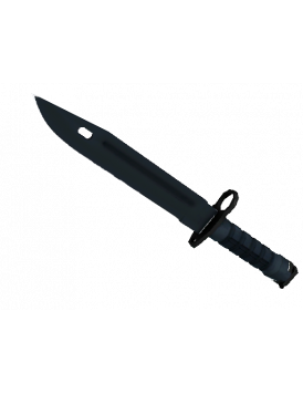 Bayonet | Night